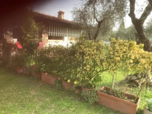 Una Casa tra gli Olivi