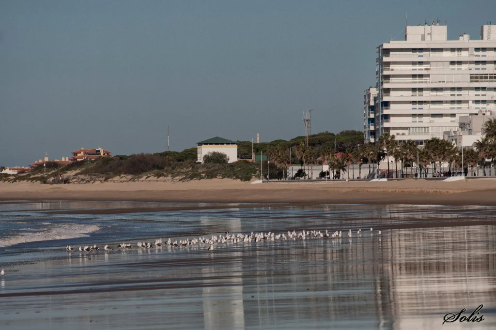 Hotel Macavi Playa