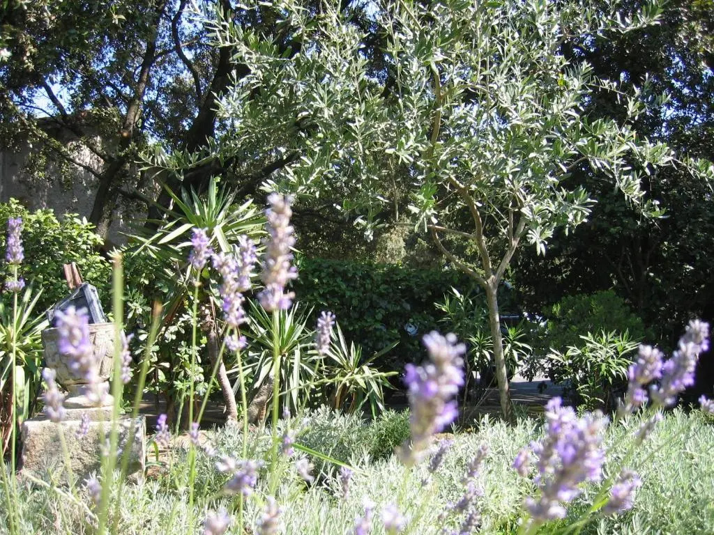 Le Petit Manoir Hotel Provence