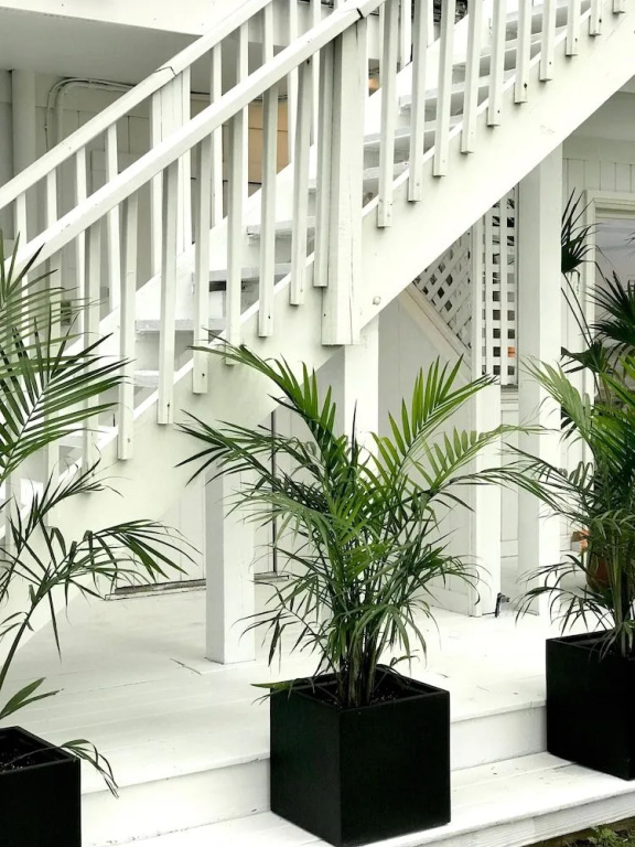 Aqua by American Beech - Adults Only