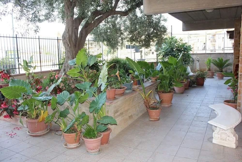 B&B Ulivo
