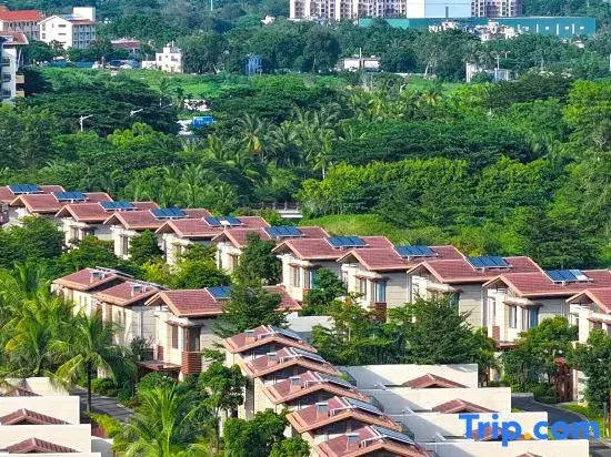 Taoli Health Begonia Resort Villa Hotel