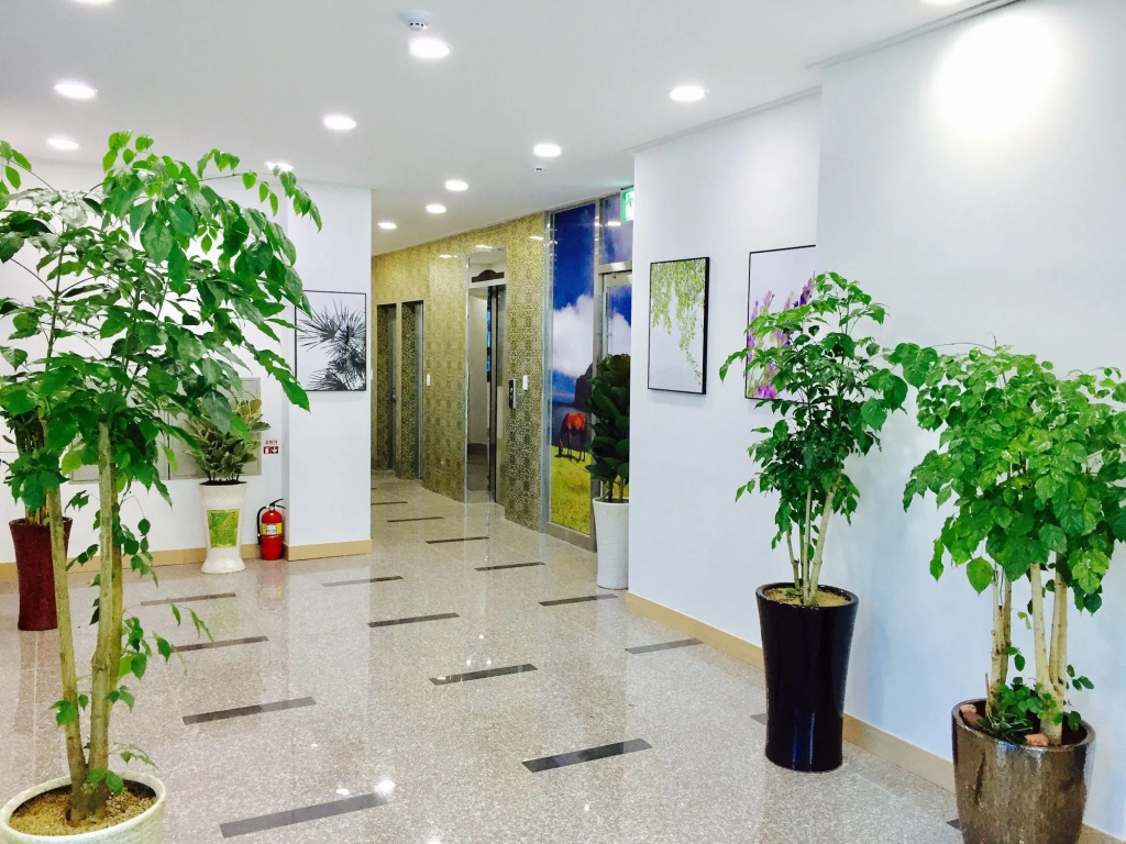 Jeju Moseulpo Hotel