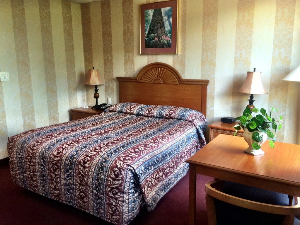 Amsterdam Hotel