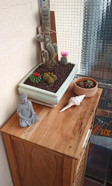 Appartement Sternblick