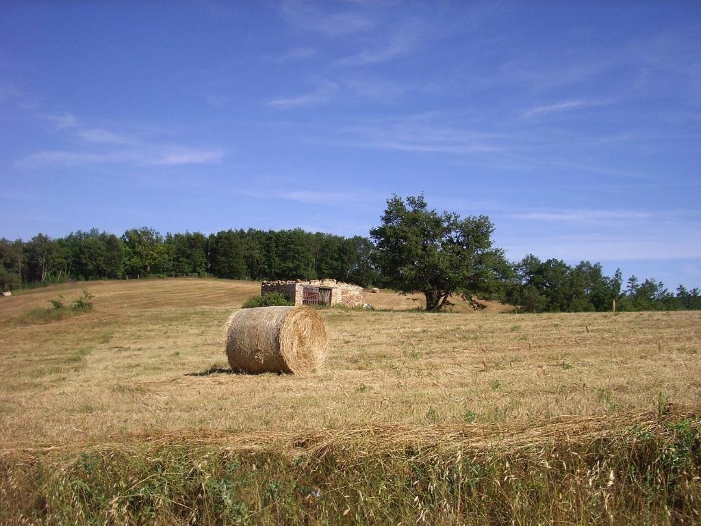 Agriturismo Bio Le Macchie Alte