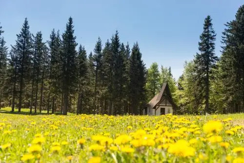 Hotel Lukov Dom