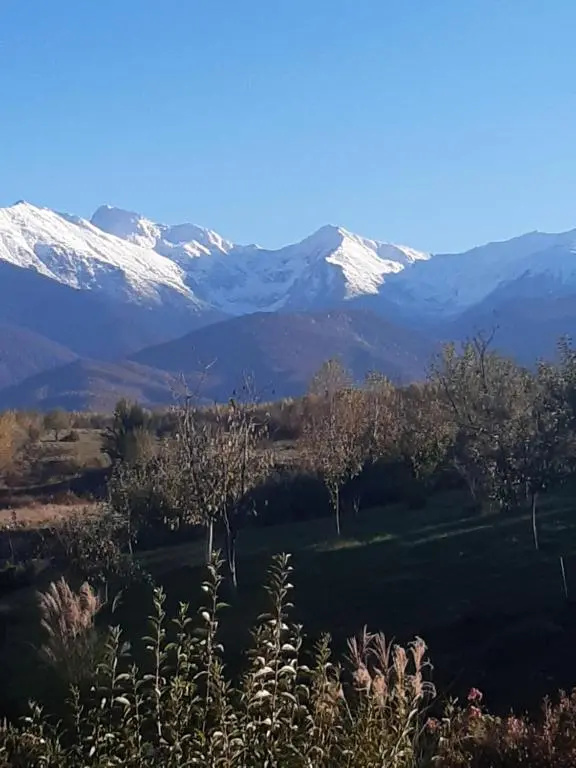 La Curtea Porumbaceana