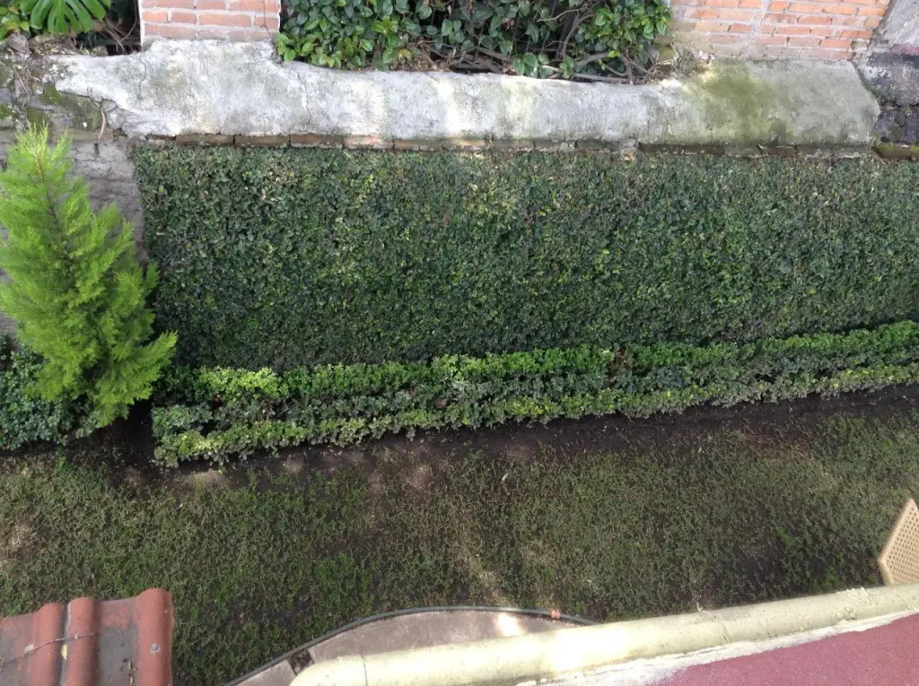 Hostal Centro de Coyoacan