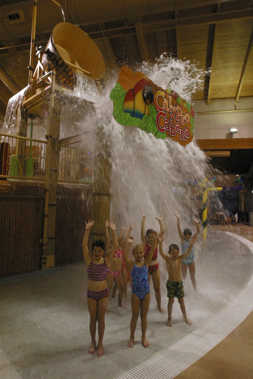 Arrowwood Resort Hotel and Conference Center - Alexandria