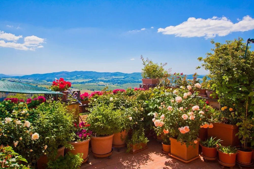 B&B Casa delle Camelie