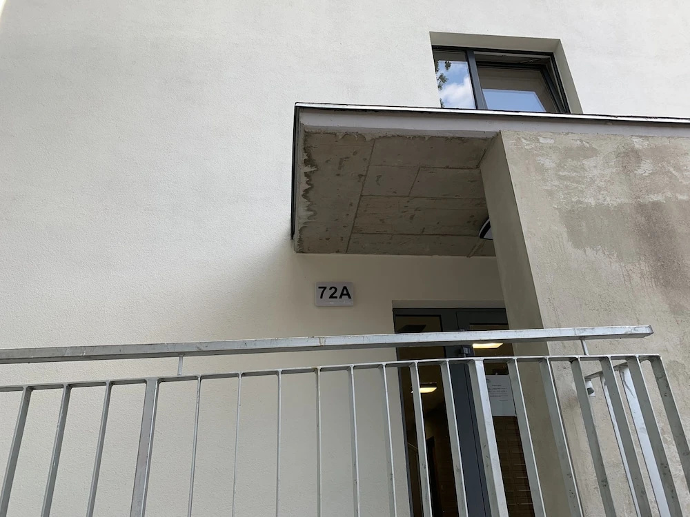 ApartmentSun Parrot
