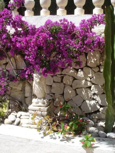 Villa Rosa