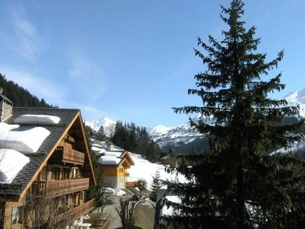 Appartement Méribel, 1 pièce, 4 personnes - FR-1-180-18