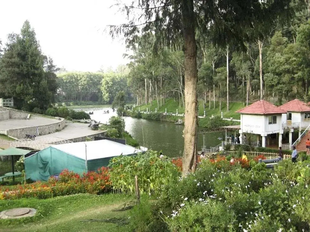 Neemrana's Wallwood Garden