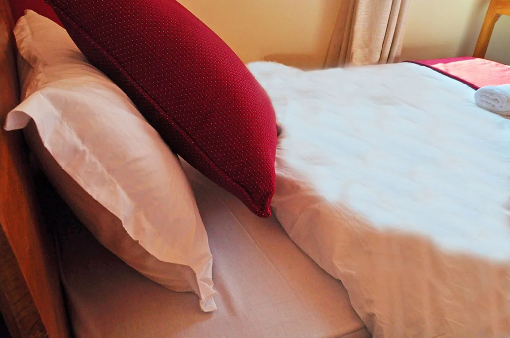 Hotel Love and Light