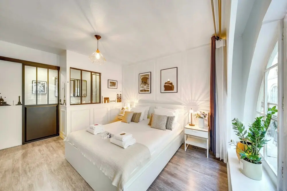 Amazing Historical Parisien Apartment Next TO Louvre Area ! - 1
