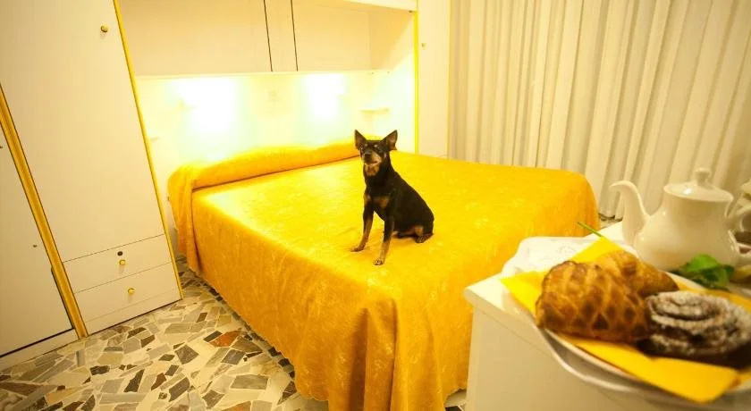 Hotel Medusa