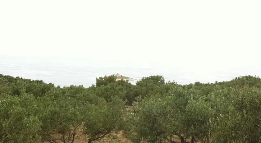 Camp Kopito