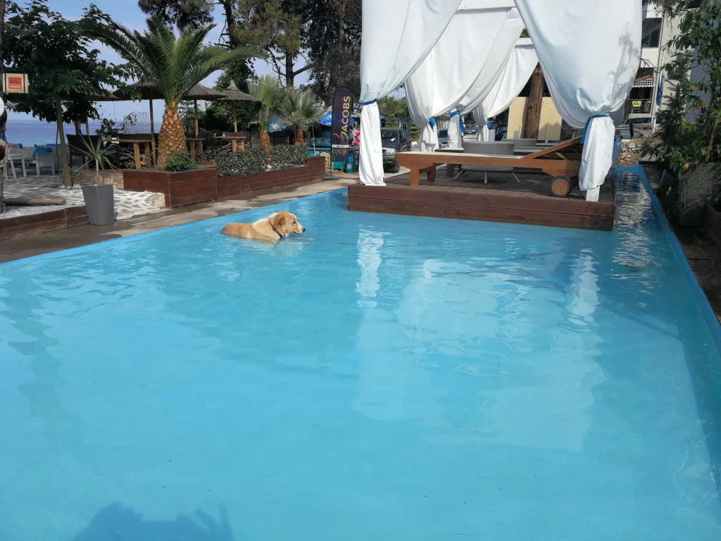 Beach Hotel Kapahi
