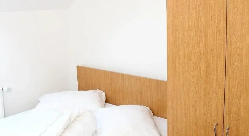 Pensiunea Timişoara