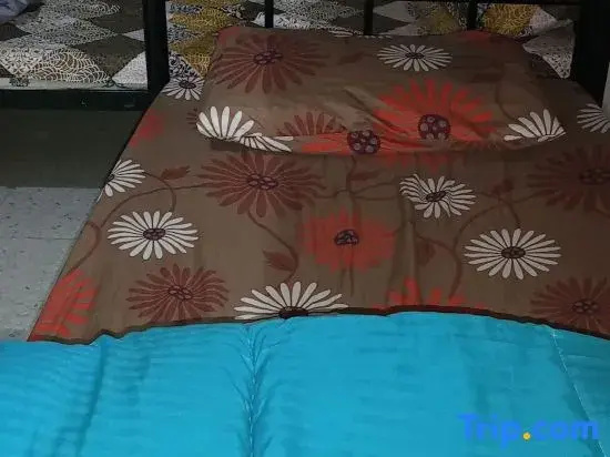 Cuzy haven backpackers