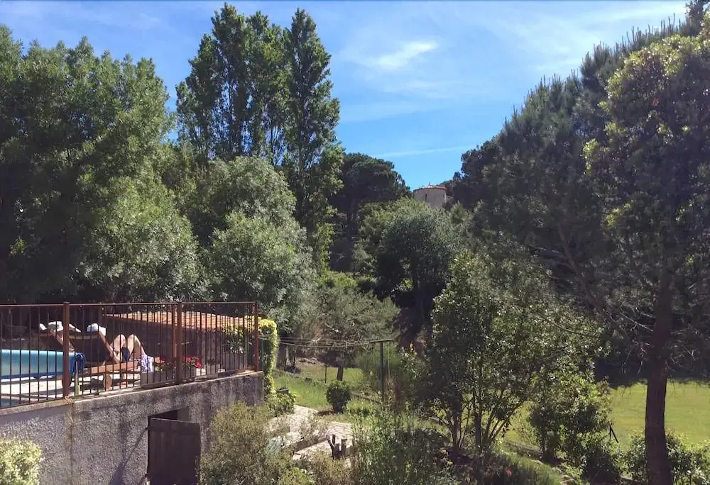 Sous Les Pins