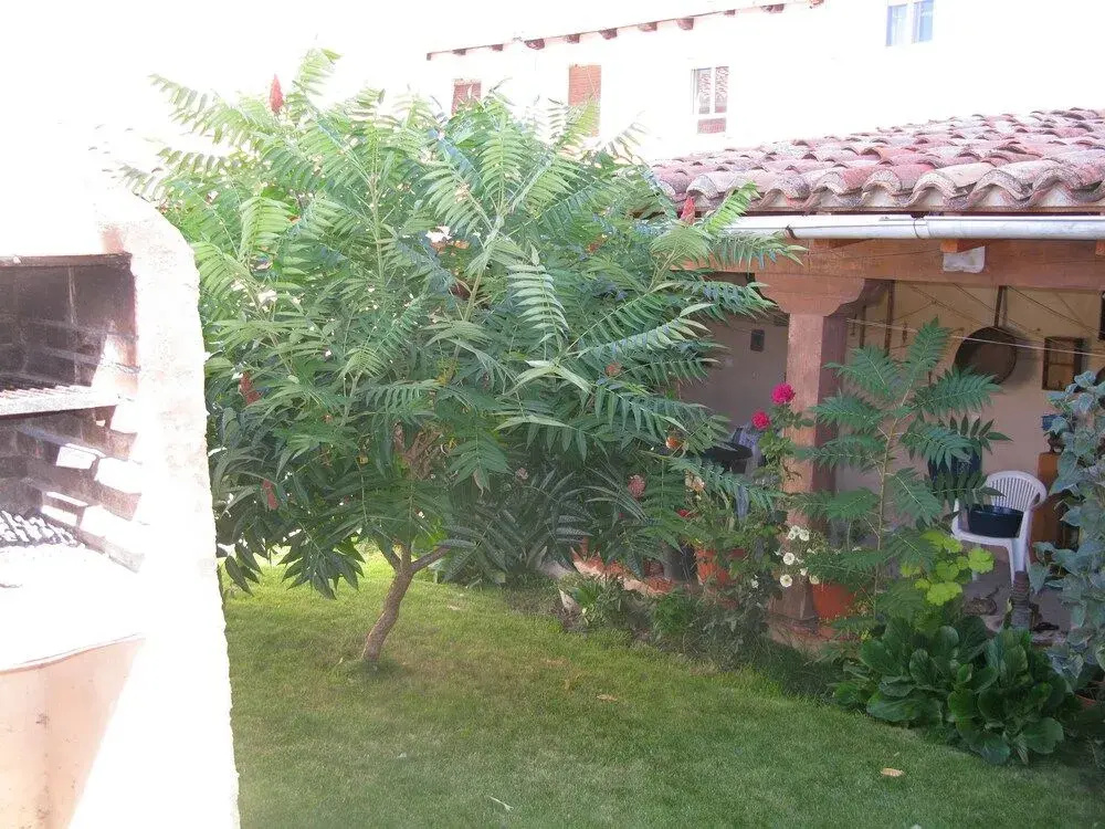 Casa Rural Arturo I