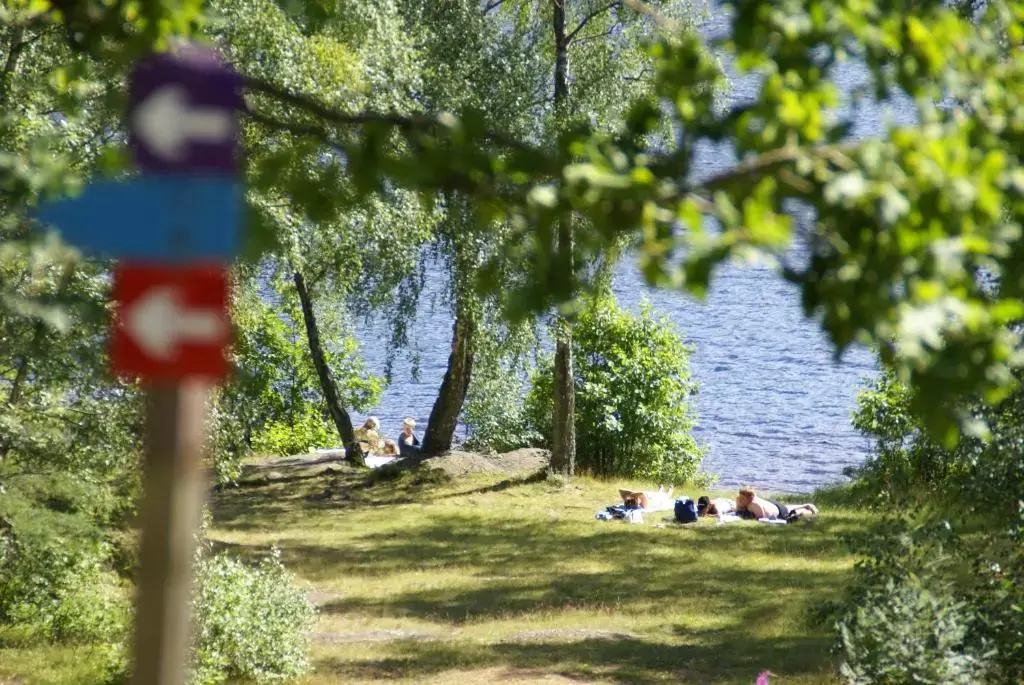 Röksvamp 3