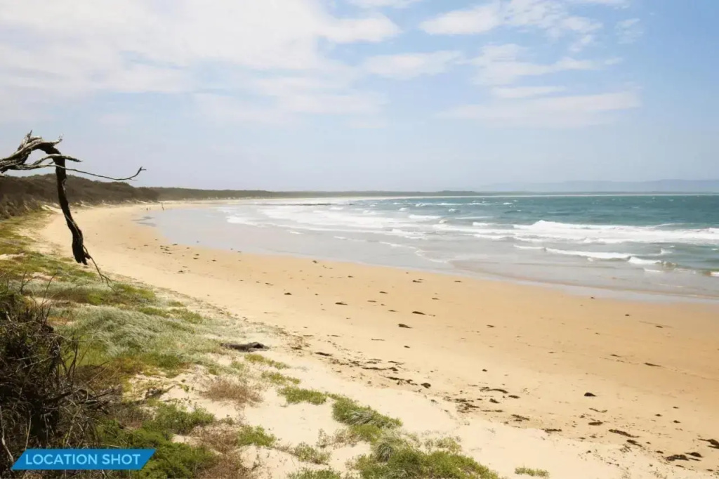 The Crescent at Currarong I Pet Friendly Beachfront