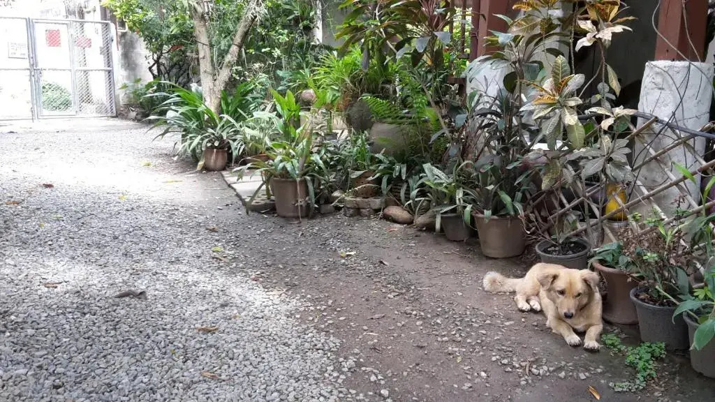 Baan Songjum