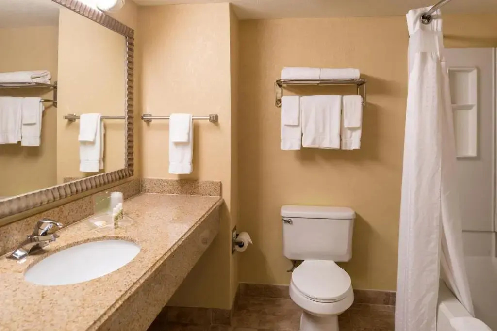 Holiday Inn & Suites Orlando SW - Celebration Area by IHG