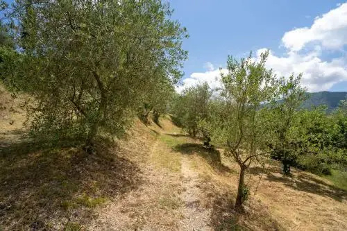 Il Giardino Del Sole