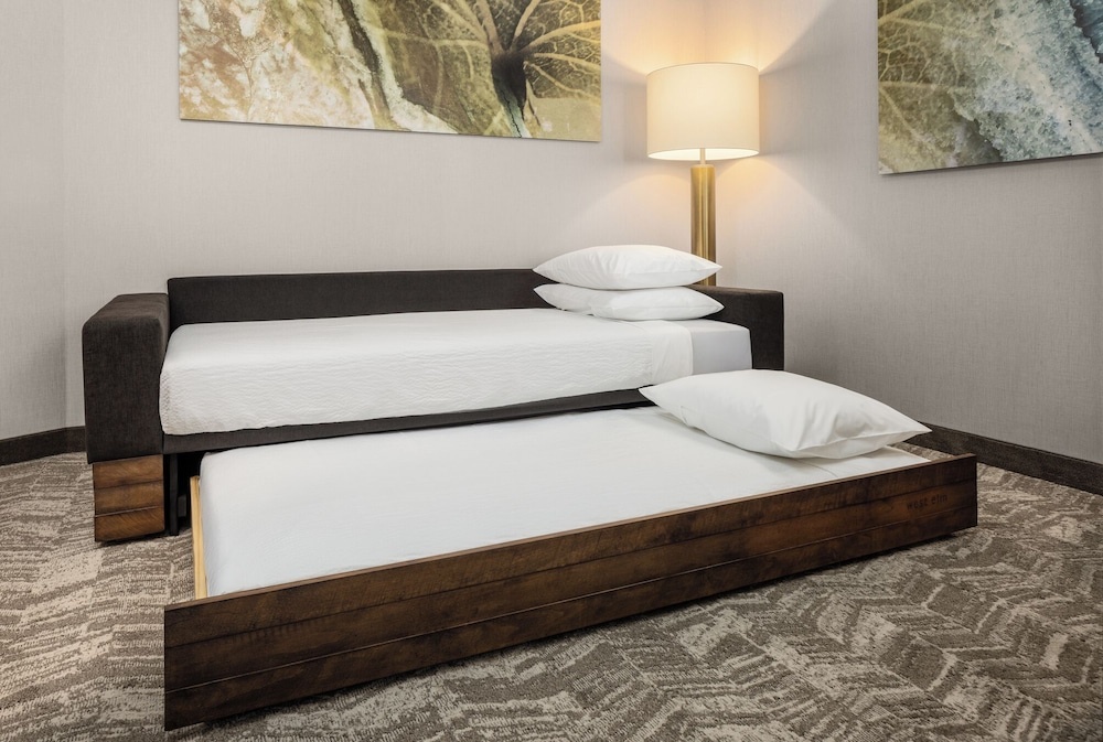 SpringHill Suites by Marriott Eau Claire