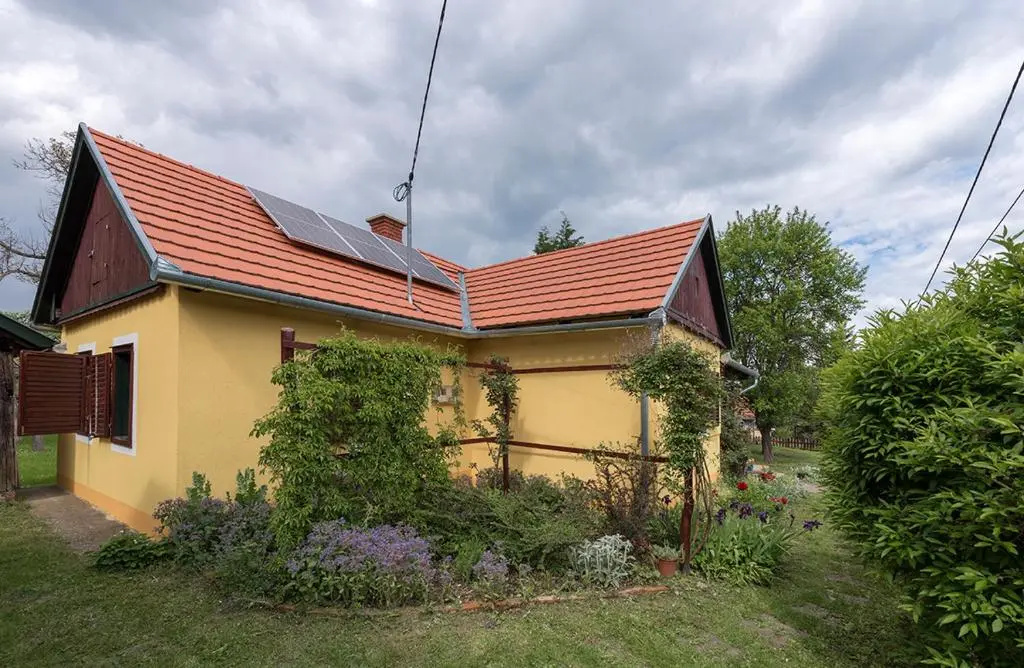 Csavargó Tanya