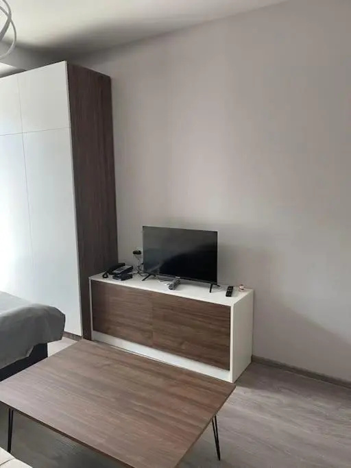 Cosy Appartment in Bakuriani