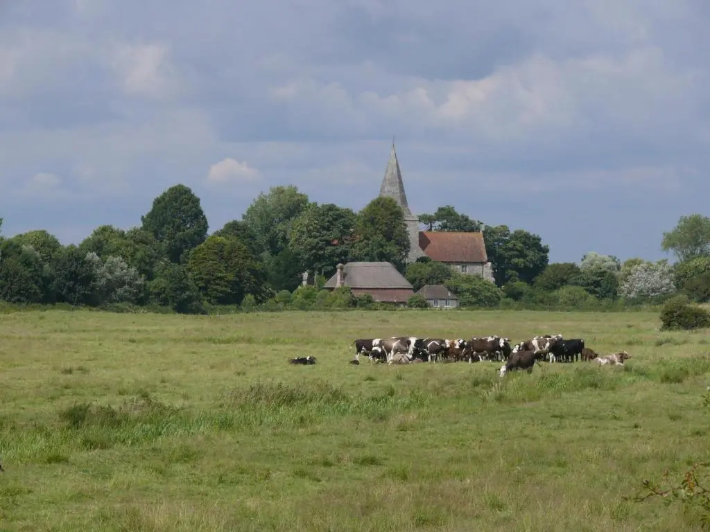 The Alfriston