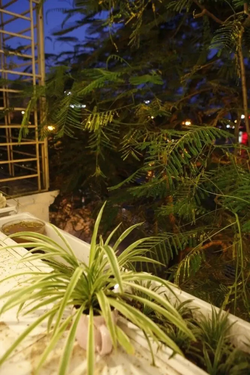 Hanoi Lake View Homestay
