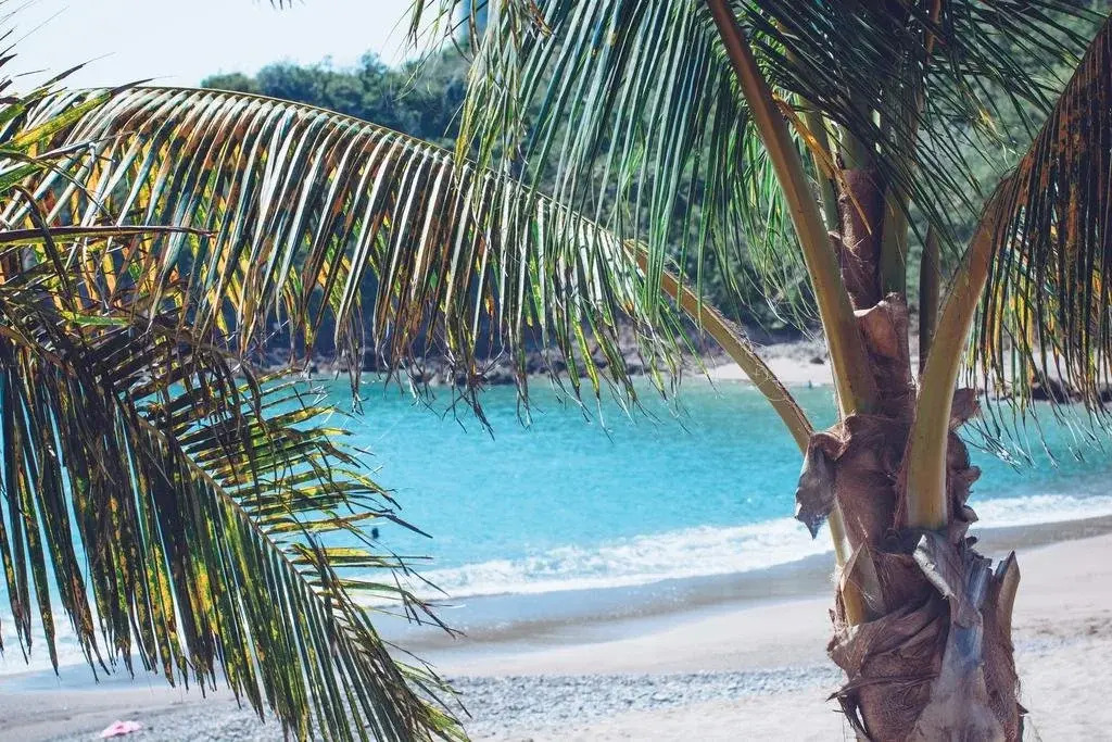 Bungalows & Casitas de las Flores in Careyes