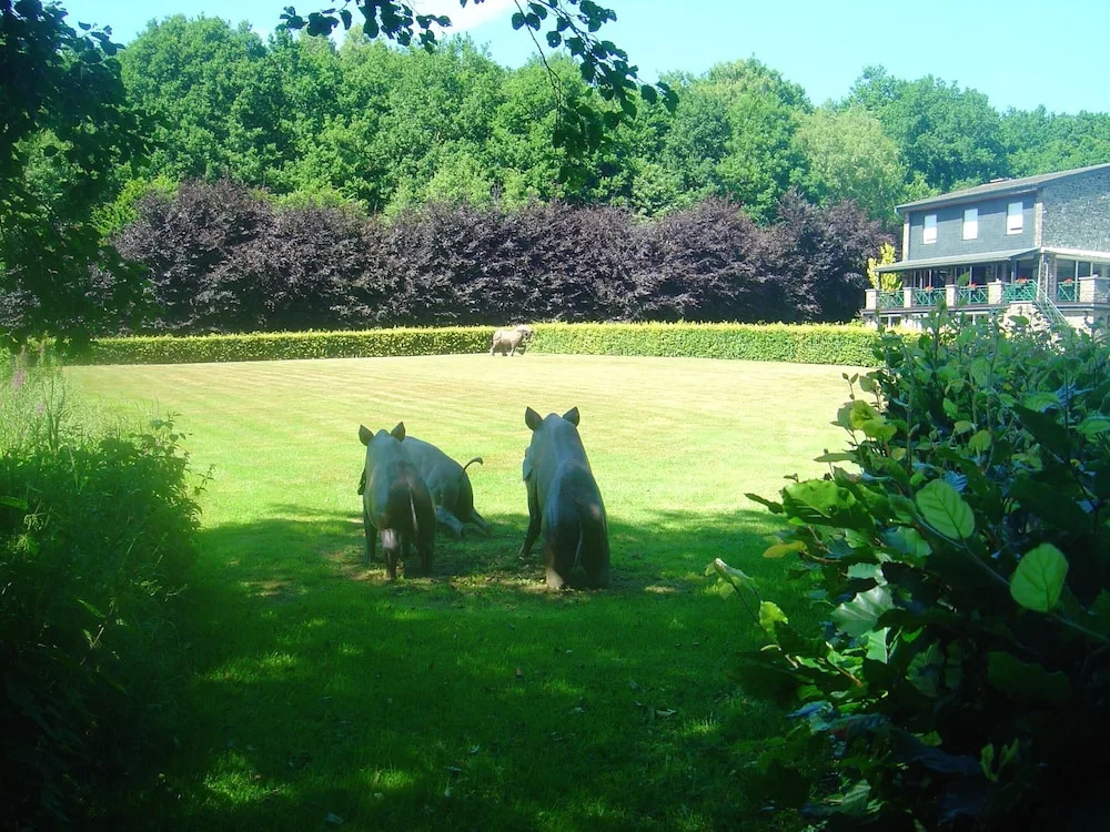 House With 5 Bedrooms in Bertogne, With Wonderful Lake View, Furnished Garden and Wifi