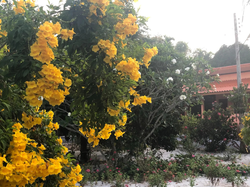At Sichon Resort