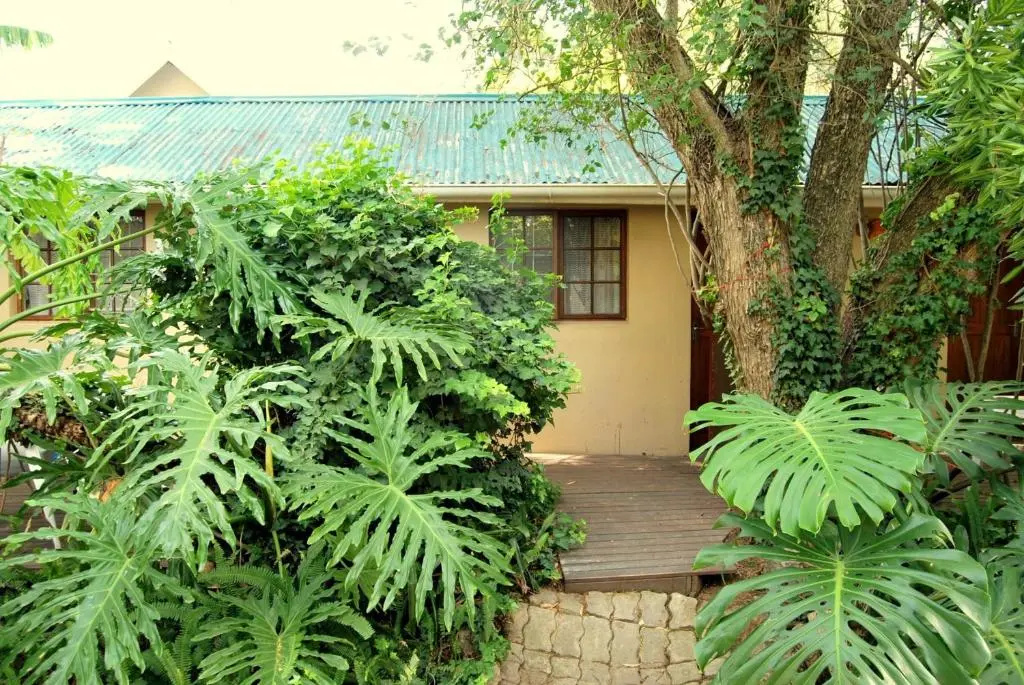 Homestead Bed and Breakfast - Travel Addo Group