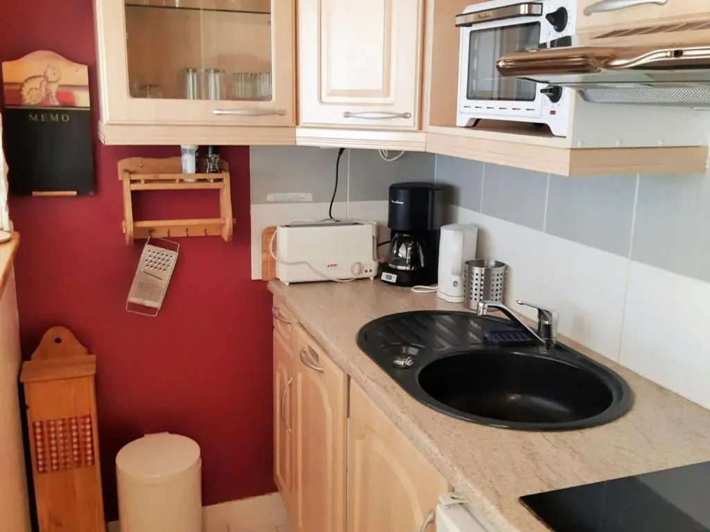 Appartement Les Deux Alpes, 1 pièce, 4 personnes - FR-1-516-158