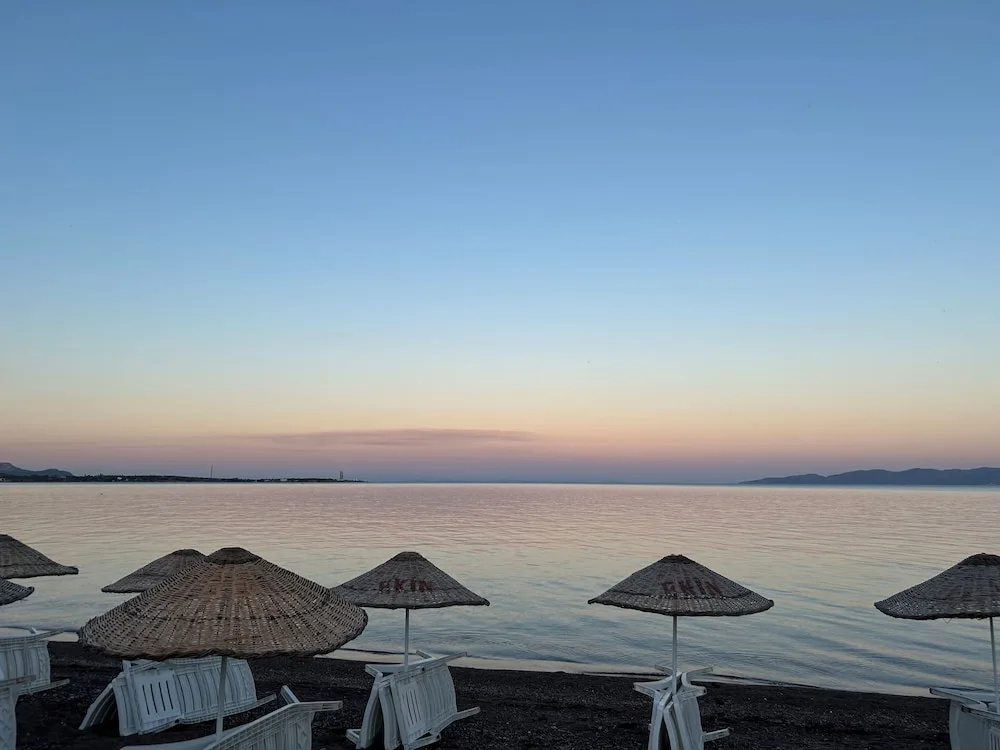 Ekin Assos