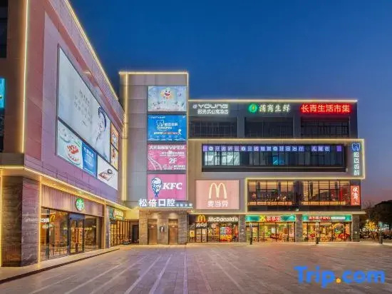 YOUNG Serviced Apartment Hotel