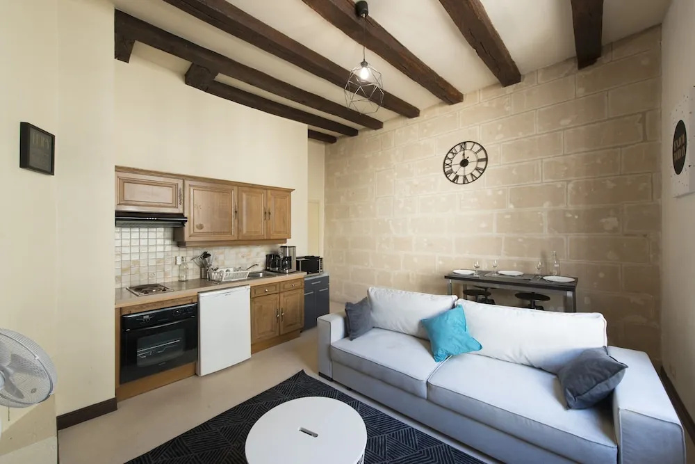 Bel Appartement Centre Historique Tours