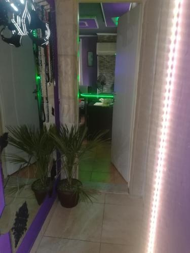 S-type apartment in the center