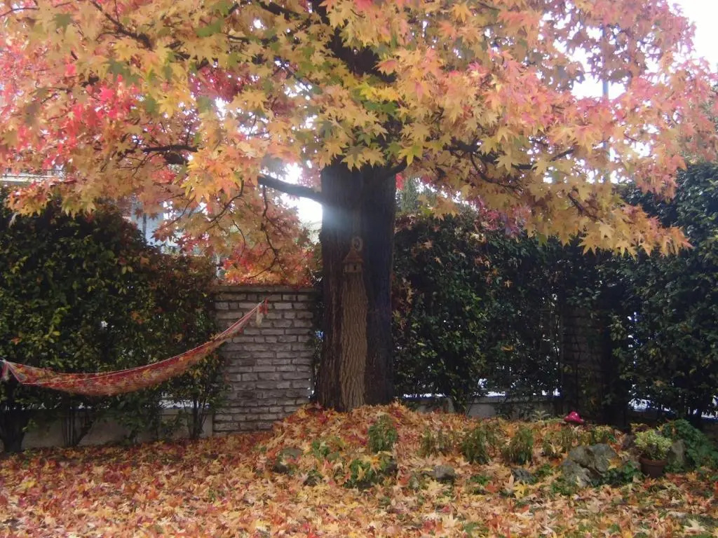 Bed & Breakfast Agli Aceri