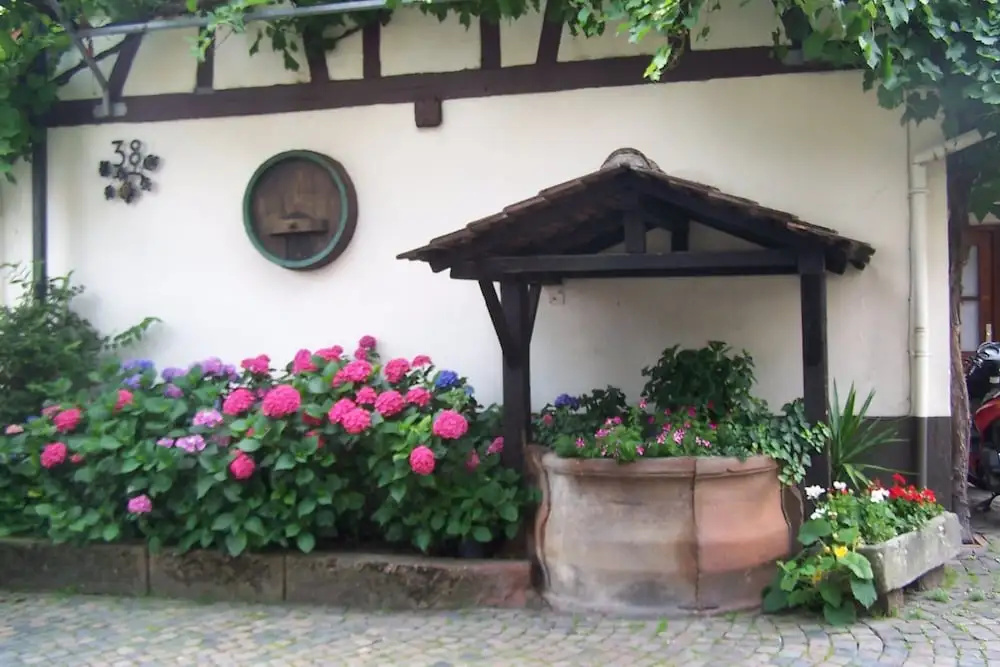 Hotel ZUM ENGEL in Speyer - Römerberg