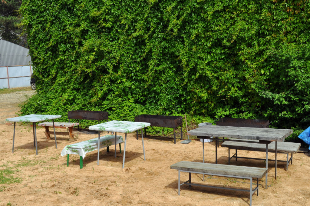 Отель Чайка